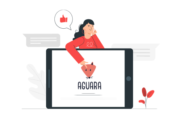 Examen y Prueba